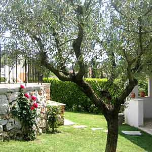 La Casalsole - house