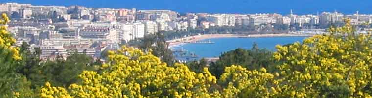 Landscape of the French Riviera